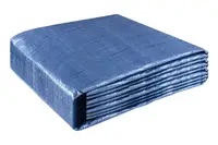 Тент ГОСПОДАР 6х10 м. Blue (79-9610-В)