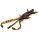 Силикон FishUp Shrimp 3" #050 Green Pumpkin Brown/Red & Purple