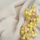 Ткань флис премиум Тедди 140 см 360 гр/м2 для кофт, спортивных костюмов, флисовок крем