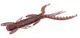 140163-S14 Німфа силікон. HOGY SHRIMP LJ Pro Series 2,2 "/ S14 *10