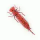 Съедобный силикон Fanatik Larva 2,5" цвет 023 7шт