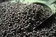 Pellets пеллетс Black Premium Halibut, корм для рыбалки Alltech Coppens (премиум класcа) 4,5мм 5 кг.