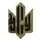 AFS Camtec Patch (Emblem) MultiCam (8641)