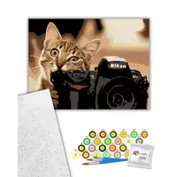 Картина по номерах "Пухнастий фотограф" 40х50 см