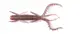 140163-S19 Німфа силікон. HOGY SHRIMP LJ Pro Series 2,2 "/ S19 *10