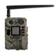 4G фотоловушка BolyGuard BG710-M (1241)