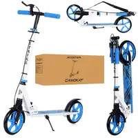 Самокат I-Trike SR2-010-1-WBL 91-105 см голубой