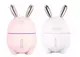 Зайка Увлажнитель воздуха и ночник 2в1 Humidifier