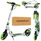 Самокат I-Trike SR2-018-10-WGR 89-103 см зеленый
