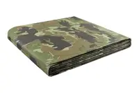 Тент MASTERTOOL 4х6 м, 90 г/м2. Camouflage (79-8406)