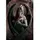Постер "Anne Stokes (Angel Rose)" 61cm x 91.5