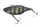 1699-19-01 Воблер Jackall TN50 52mm 9g Black King Gill