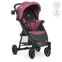 Коляска детская прогулочная FAVORIT v.2 M 3409N
Maroon