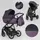 Детская коляска 2 в 1 для детей Expander DEXO Plum (91318)