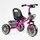 Детский велосипед 3-х колесный Best Trike, колеса из вспененной резины, стальная рама, фара с музыкой и светом, 2 корзины. Pink (147571)