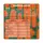 Fizi Special - 10x45g Pumpkin Latte