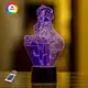 3D ночник GENSHIN IMPACT "Ци Ци" (УВЕЛИЧЕННОЕ ИЗОБРАЖЕНИЕ)+ сетевой адаптер + батарейки (3ААА)  3DTOYSLAMP