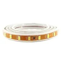 LED лента PROlum SMD5730-72 220V IP68 Стандарт БЕЛАЯ 1м