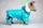 Костюм с капюшоном 601010 Zoobaza – бирюзовый, 35 х 54