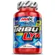 Стимулятор тестостерона Amix Nutrition TribuLyn 40% 750 mg, 120 капсул