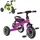 Трехколесный велосипед Turbo Trike M-3648-M-2