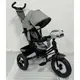 Велосипед трехколесный Turbo Trike MT-1006-8 светло-серый