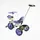 Детский велосипед 3-х колесный BestTrike BS 362 фара музыкальная 2 корзины. Lavander (169771)