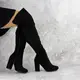 Женские ботфорты на каблуке Fashion Caitlyn 1427 38 размер 24,5 см Черный