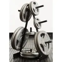 Стойка для дисков Toorx Rack 25 mm (RPD-25)