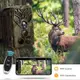 WiFi фотоловушка Suntekcam WIFI810