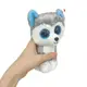 Beanie Boo's Игрушка мягконабивная Хаски "Slush" 15см (30 апреля)