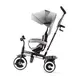 Трехколесный велосипед Kinderkraft Aston Grey KKRASTOGRY0000
