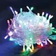 Гирлянда Light Belt 100 LED 10 м Теплый свет • Светодиодная новогодняя гирлянда 105-5