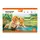 Альбом для рисования А4 скоба с перфорацией YES Orange Line Pets 130608 20 листов
