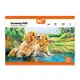 Альбом для рисования А4 скоба с перфорацией YES Orange Line Pets 130608 20 листов