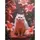 Картина по номерам Strateg Кот в лепестках 30х40 (SS-1368)