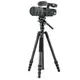 Штатив Vanguard Vesta Go 234CV10 (Vesta Go 234CV10)