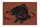 Коврик с карпом, коврик карп, коврик с карпом Delphin Carp rug коричневый 60*40 см