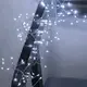 Гирлянда светодиодная от сети Роса Y25-25W 19898 5 м 200 LED холодная белая
