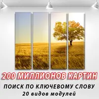 Модульні триптих картини на ПВХ тканині, 90x110 см, (90x25-4)