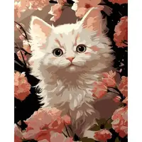 Картина по номерам на черном фоне "Белый котенок" 40х50 см