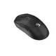 Мышь компьютерная безпроводная Bloody R72 Ultra Black черная