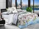 Комплект постельного белья BR-12491 TAG polycotton 2-sp-717