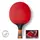 Ракетка для настольного тенниса Butterfly Timo Boll Comfort Junior FL (6110100009)