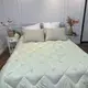 Одеяло евро стеганое зимнее из бамбукового волокна Leri Max 21530 195х210 см салатовое