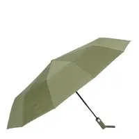 Автоматический зонт Monsen CV11665green