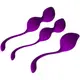 Набор вагинальных шариков  Purple Kegel Set фиолетовый