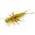 Stonefly 0.75" (12pcs.), #036 - Caramel/Green & Black