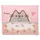 Папка для тетрадей на резинке В5 YES Pusheen 492306 20х24х5 см