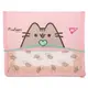 Папка для тетрадей на резинке В5 YES Pusheen 492306 20х24х5 см